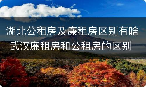 湖北公租房及廉租房区别有啥 武汉廉租房和公租房的区别