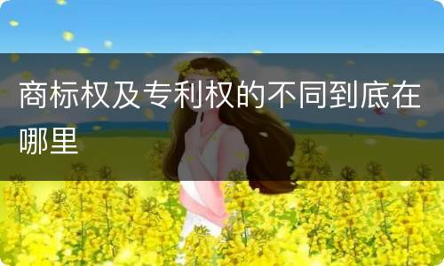 商标权及专利权的不同到底在哪里