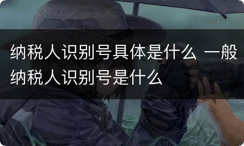 纳税人识别号具体是什么 一般纳税人识别号是什么