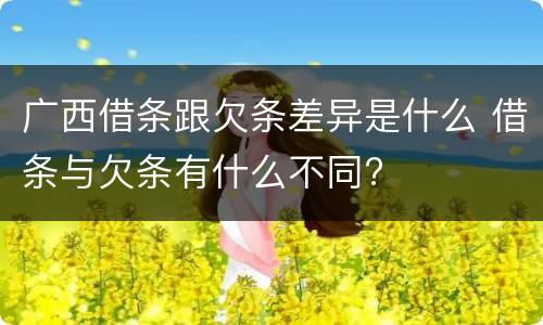 广西借条跟欠条差异是什么 借条与欠条有什么不同?