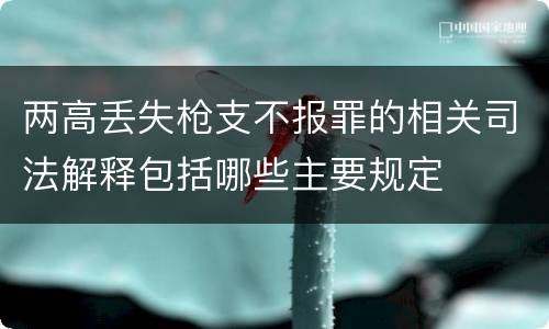 两高丢失枪支不报罪的相关司法解释包括哪些主要规定