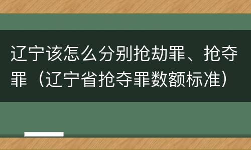 辽宁该怎么分别抢劫罪、抢夺罪（辽宁省抢夺罪数额标准）