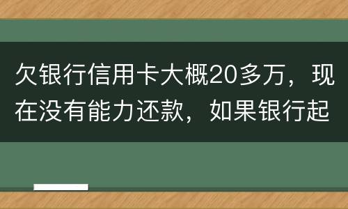 欠银行信用卡大概20多万，现在没有能力还款，如果银行起诉，法院会怎么判决，如果强