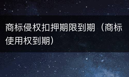 商标侵权扣押期限到期（商标使用权到期）