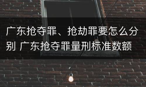 广东抢夺罪、抢劫罪要怎么分别 广东抢夺罪量刑标准数额