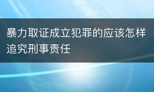 暴力取证成立犯罪的应该怎样追究刑事责任