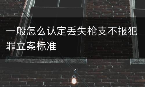 一般怎么认定丢失枪支不报犯罪立案标准