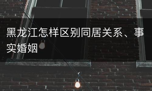 黑龙江怎样区别同居关系、事实婚姻