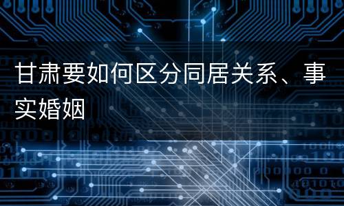 甘肃要如何区分同居关系、事实婚姻