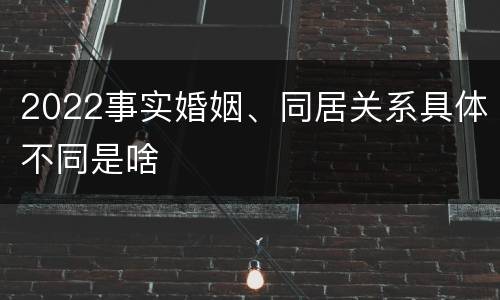 2022事实婚姻、同居关系具体不同是啥