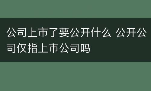 公司上市了要公开什么 公开公司仅指上市公司吗