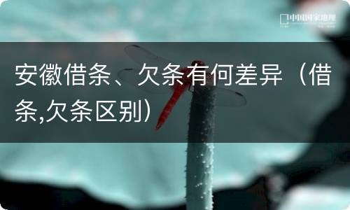 安徽借条、欠条有何差异（借条,欠条区别）