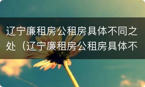 辽宁廉租房公租房具体不同之处（辽宁廉租房公租房具体不同之处在哪）