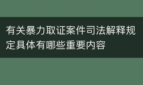 有关暴力取证案件司法解释规定具体有哪些重要内容