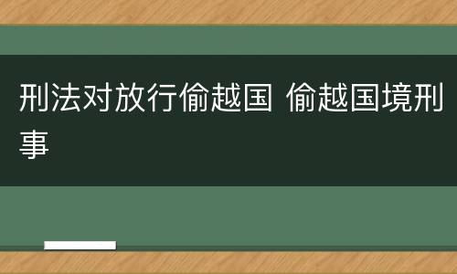 刑法对放行偷越国 偷越国境刑事