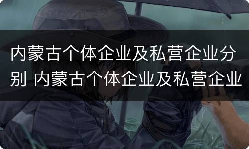 内蒙古个体企业及私营企业分别 内蒙古个体企业及私营企业分别有哪些