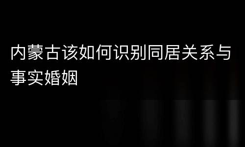 内蒙古该如何识别同居关系与事实婚姻