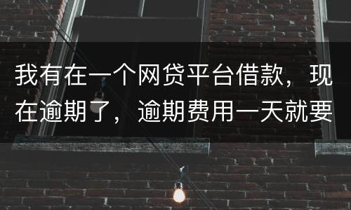 我有在一个网贷平台借款，现在逾期了，逾期费用一天就要高达140