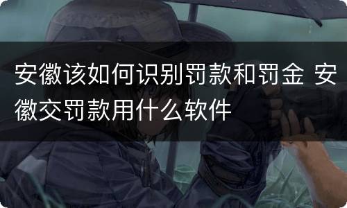 安徽该如何识别罚款和罚金 安徽交罚款用什么软件