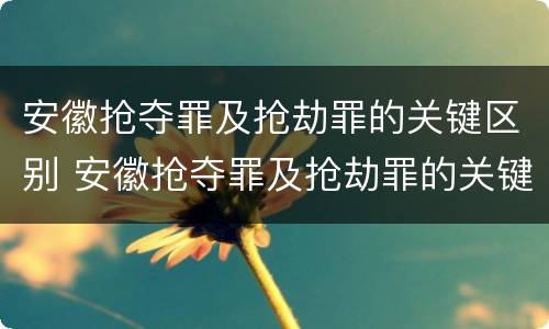 安徽抢夺罪及抢劫罪的关键区别 安徽抢夺罪及抢劫罪的关键区别有哪些