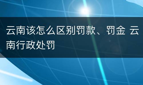 云南该怎么区别罚款、罚金 云南行政处罚