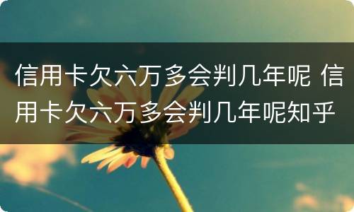 信用卡欠六万多会判几年呢 信用卡欠六万多会判几年呢知乎