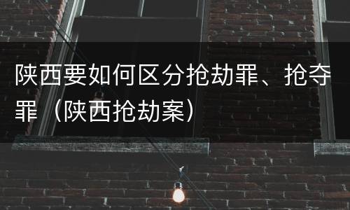 陕西要如何区分抢劫罪、抢夺罪（陕西抢劫案）