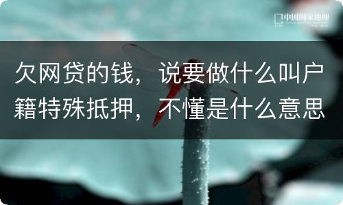 欠网贷的钱，说要做什么叫户籍特殊抵押，不懂是什么意思