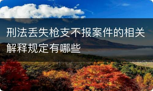 刑法丢失枪支不报案件的相关解释规定有哪些