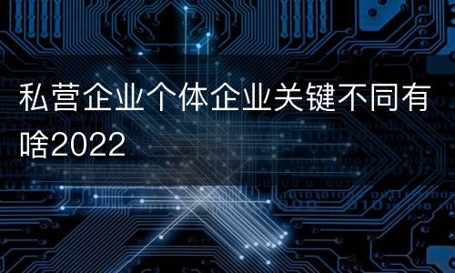 私营企业个体企业关键不同有啥2022