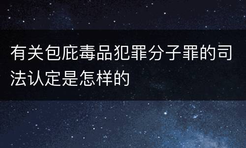 有关包庇毒品犯罪分子罪的司法认定是怎样的