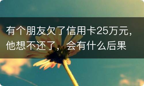 有个朋友欠了信用卡25万元，他想不还了，会有什么后果