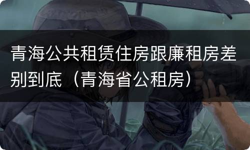 青海公共租赁住房跟廉租房差别到底（青海省公租房）