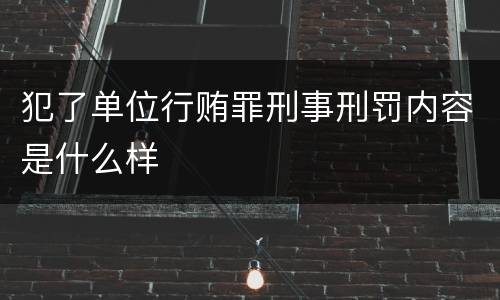 犯了单位行贿罪刑事刑罚内容是什么样