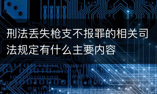 刑法丢失枪支不报罪的相关司法规定有什么主要内容