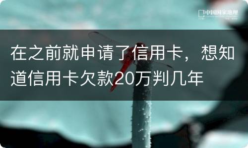 在之前就申请了信用卡，想知道信用卡欠款20万判几年