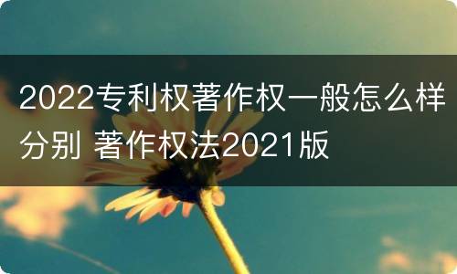 2022专利权著作权一般怎么样分别 著作权法2021版