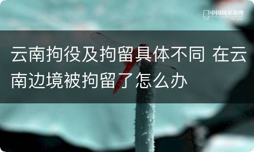 云南拘役及拘留具体不同 在云南边境被拘留了怎么办