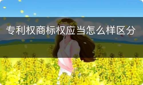 专利权商标权应当怎么样区分