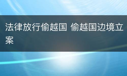 法律放行偷越国 偷越国边境立案