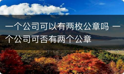 一个公司可以有两枚公章吗 一个公司可否有两个公章