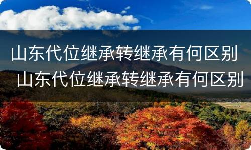 山东代位继承转继承有何区别 山东代位继承转继承有何区别呢