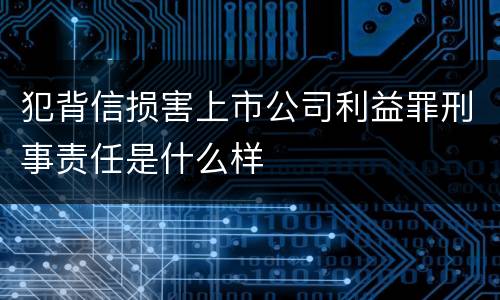 犯背信损害上市公司利益罪刑事责任是什么样