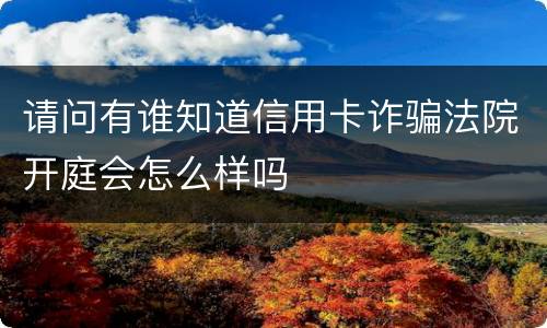 请问有谁知道信用卡诈骗法院开庭会怎么样吗