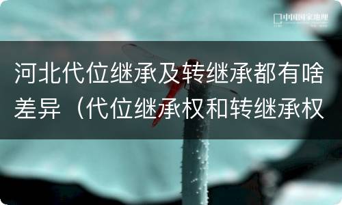 河北代位继承及转继承都有啥差异（代位继承权和转继承权）