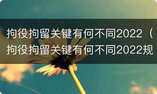 拘役拘留关键有何不同2022（拘役拘留关键有何不同2022规定）