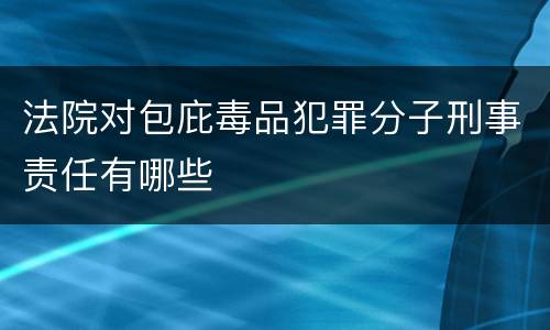 法院对包庇毒品犯罪分子刑事责任有哪些