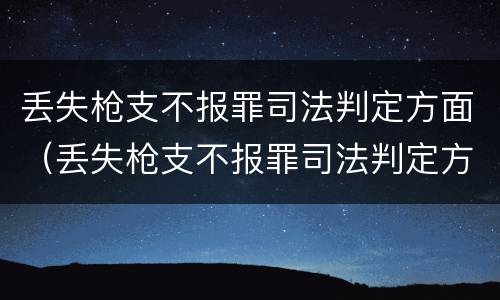 丢失枪支不报罪司法判定方面（丢失枪支不报罪司法判定方面的问题）