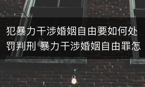 犯暴力干涉婚姻自由要如何处罚判刑 暴力干涉婚姻自由罪怎么判刑