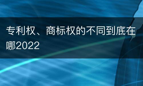 专利权、商标权的不同到底在哪2022